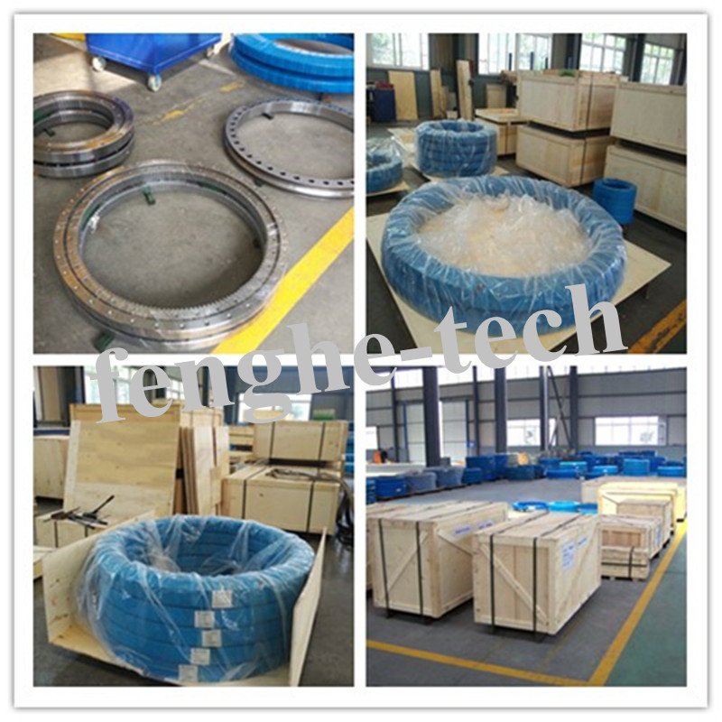 Internal Tooth Single-Row Ball Type Slewing Bearing
