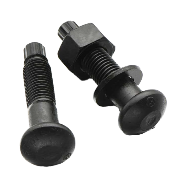ASTM A325 A325M F2280 Type 1 Plain Steel DHG 8.8 10.9 12.9 Grade 5 Twist High Tension Control Structural Bolt TC Bolts